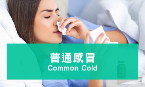 月经期间拉屎的地方出血怎么办网 :分享月经期间大便出来瞬间特别疼-月经期间拉血便是怎么回事知识